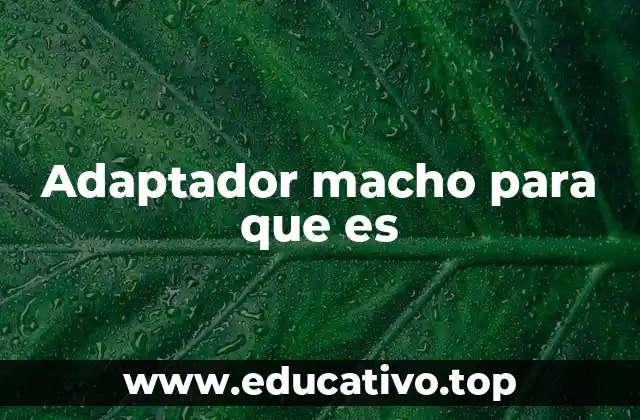 Adaptador macho para que es