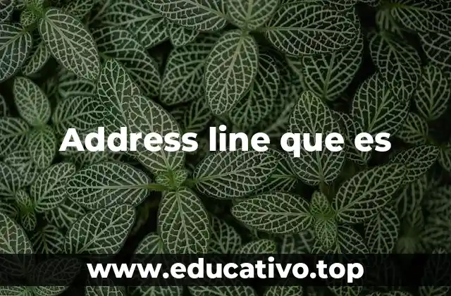 Address line que es