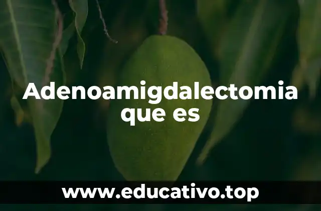 Adenoamigdalectomia que es