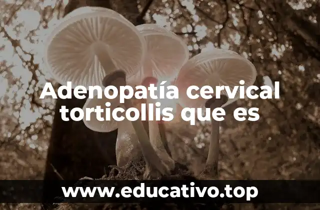 Adenopatía cervical torticollis que es