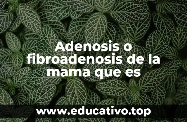 Adenosis o fibroadenosis de la mama que es