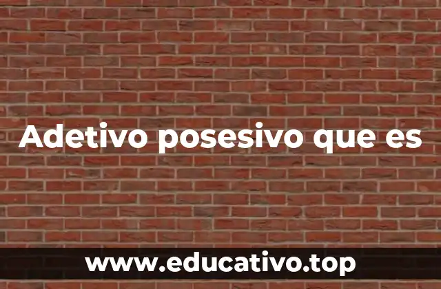 Adetivo posesivo que es