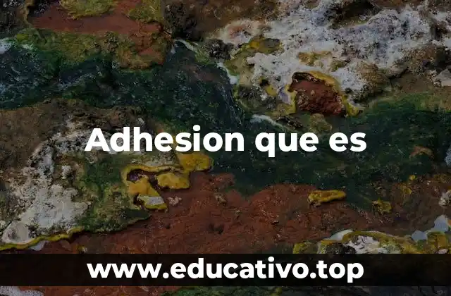Adhesion que es