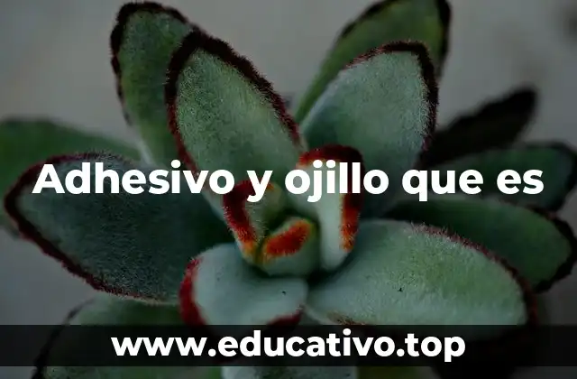 Adhesivo y ojillo que es