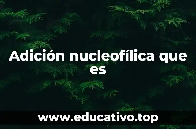 Adición nucleofílica que es