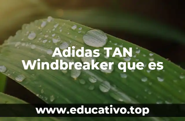 Adidas TAN Windbreaker que es