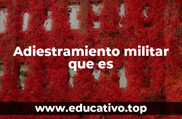 Adiestramiento militar que es