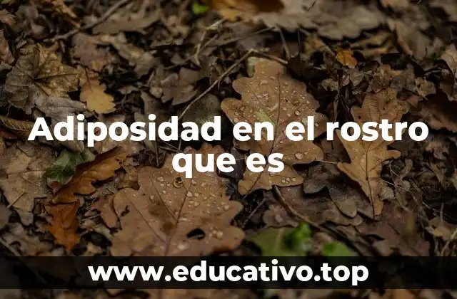 Adiposidad en el rostro que es