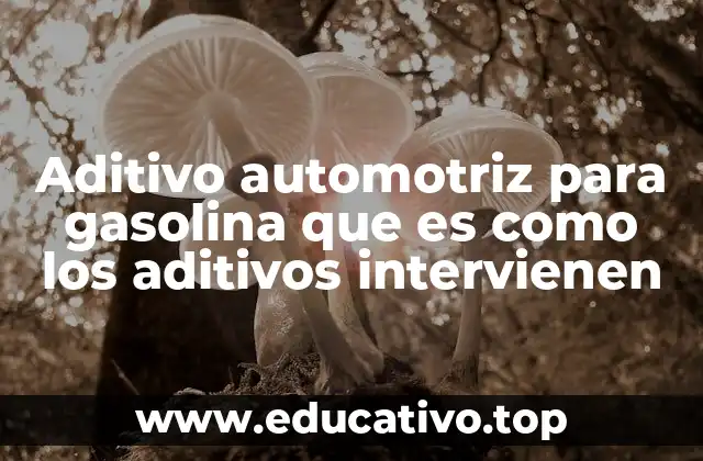 Aditivo automotriz para gasolina que es como los aditivos intervienen