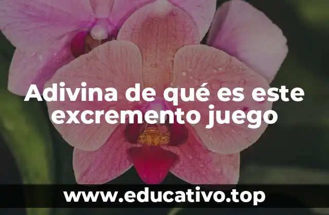 Adivina de qué es este excremento juego