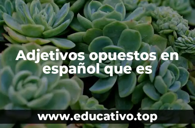 Adjetivos opuestos en español que es