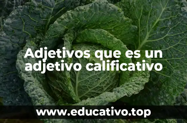 Adjetivos que es un adjetivo calificativo