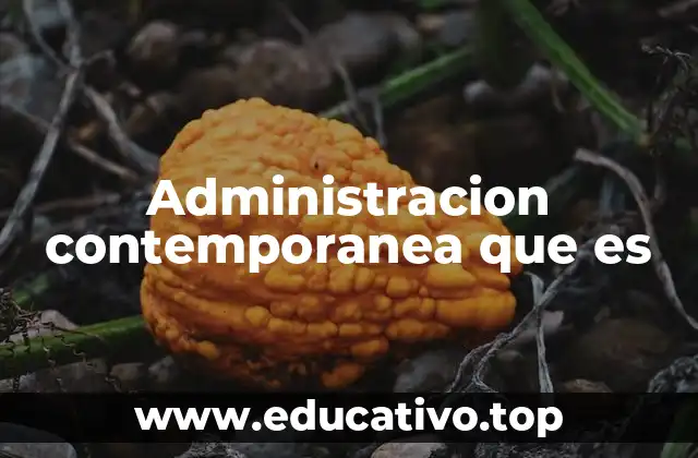 Evolución del enfoque administrativo en el siglo XXI