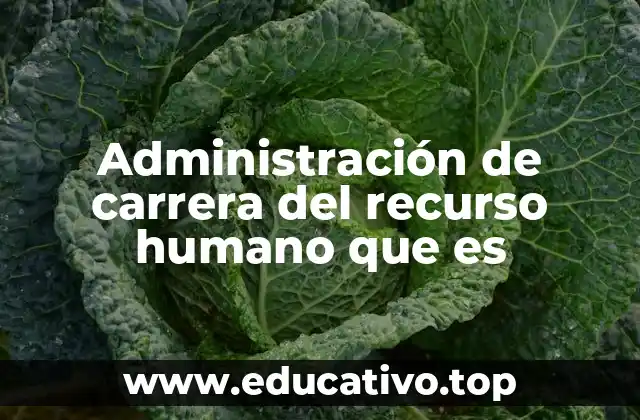 Administración de carrera del recurso humano que es