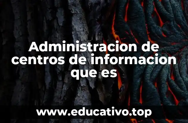 Administracion de centros de informacion que es