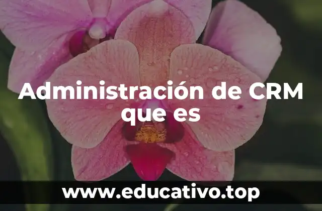Administración de CRM que es