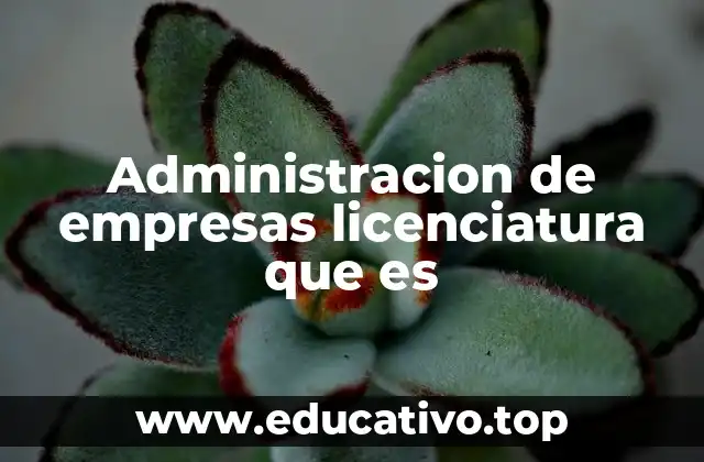 Administracion de empresas licenciatura que es