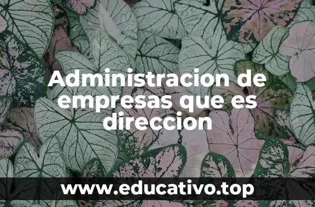 Administracion de empresas que es direccion
