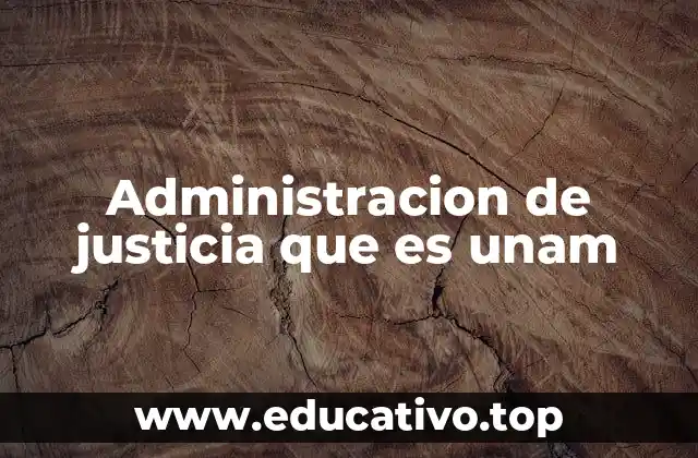 Administracion de justicia que es unam