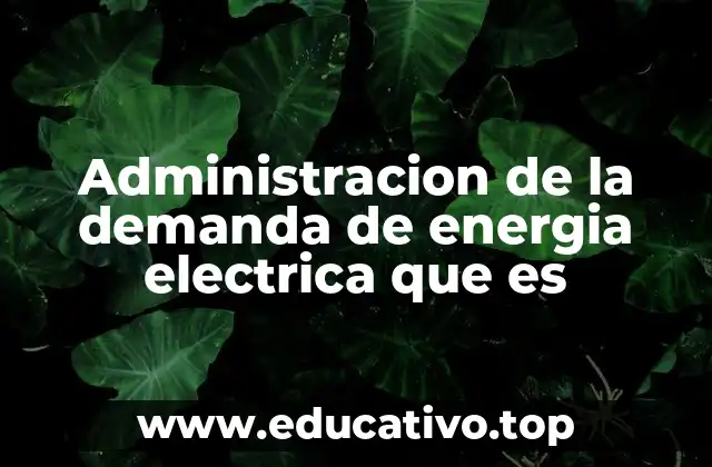 Administracion de la demanda de energia electrica que es