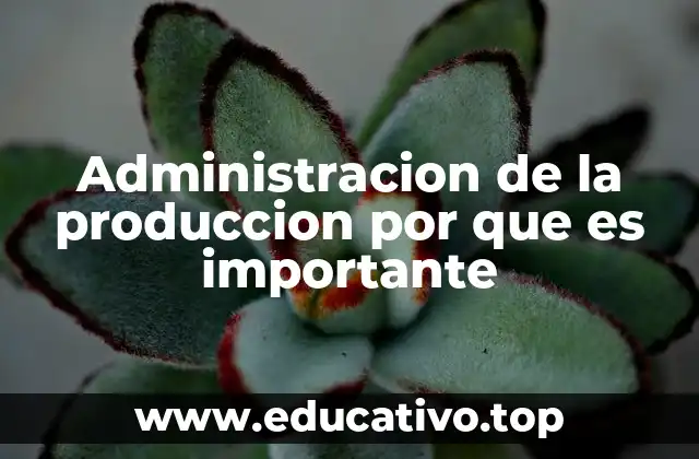 Administracion de la produccion por que es importante