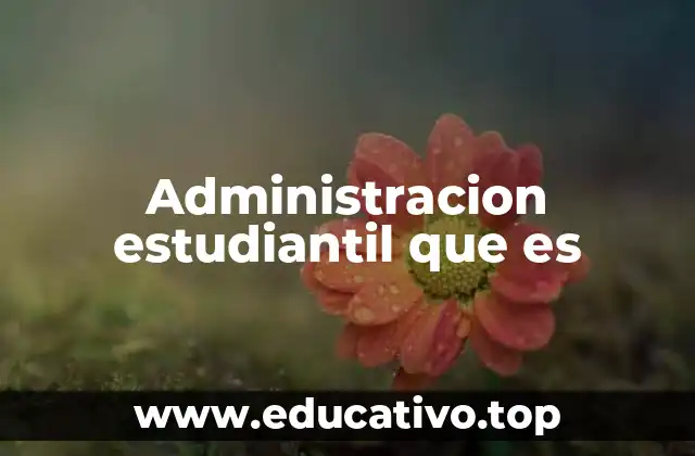 La participación activa en el entorno educativo