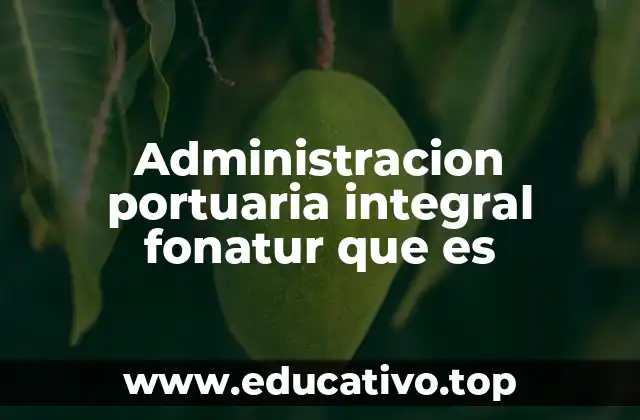 Administracion portuaria integral fonatur que es