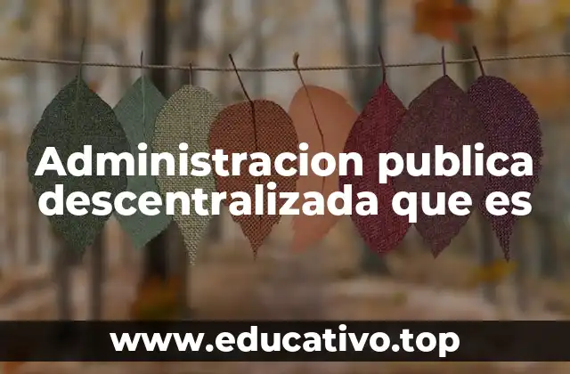 Administracion publica descentralizada que es