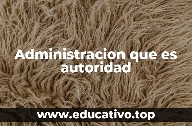 Administracion que es autoridad