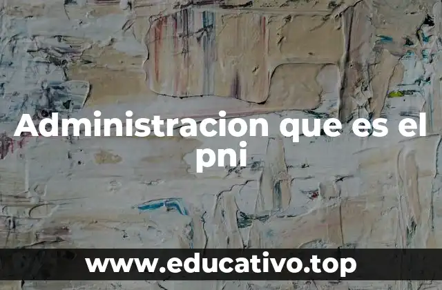 Administracion que es el pni