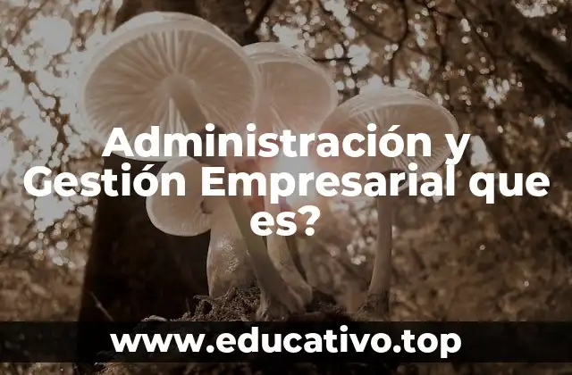 Administración y Gestión Empresarial que es?
