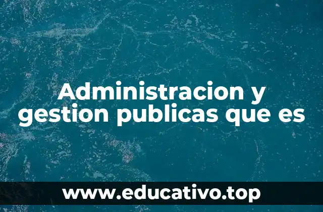 Administracion y gestion publicas que es