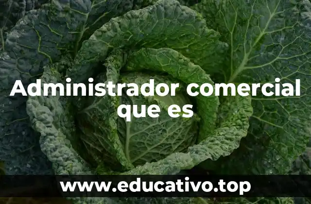 Administrador comercial que es