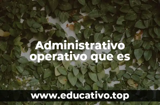 El rol del administrativo operativo en la dinámica empresarial