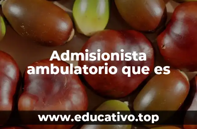 Admisionista ambulatorio que es