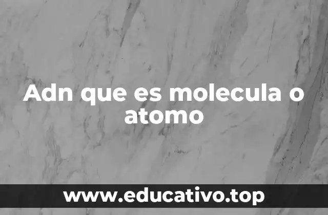 Adn que es molecula o atomo