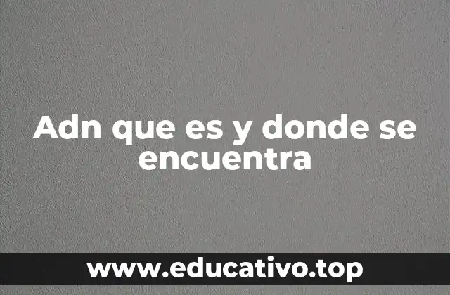 Adn que es y donde se encuentra