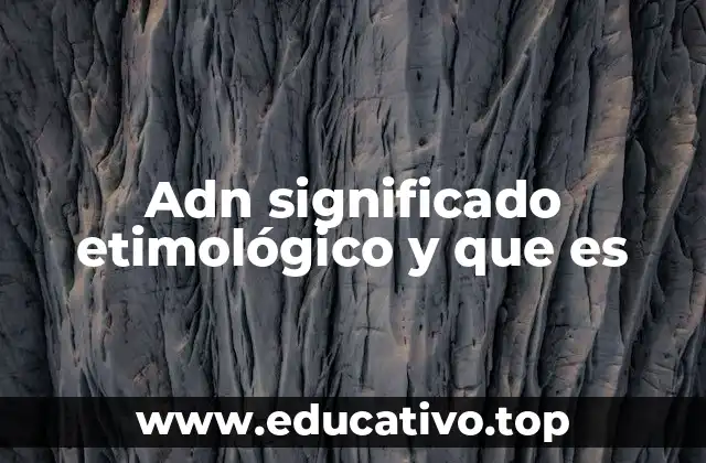 Adn significado etimológico y que es