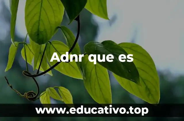 Adnr que es