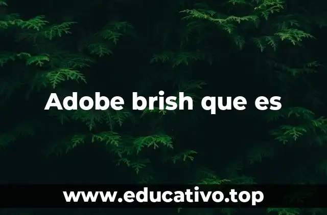 Adobe brish que es