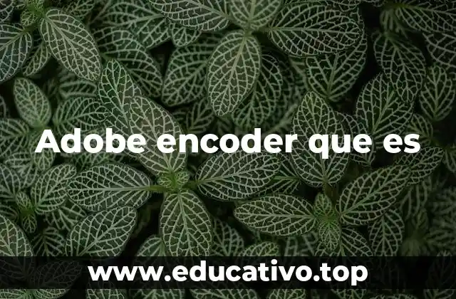 Adobe encoder que es