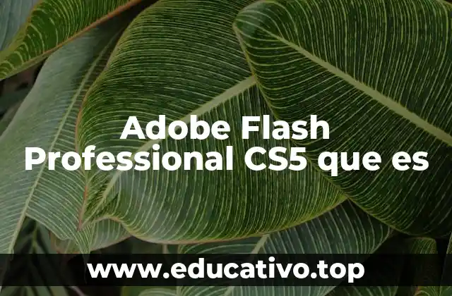 Adobe Flash Professional CS5 que es
