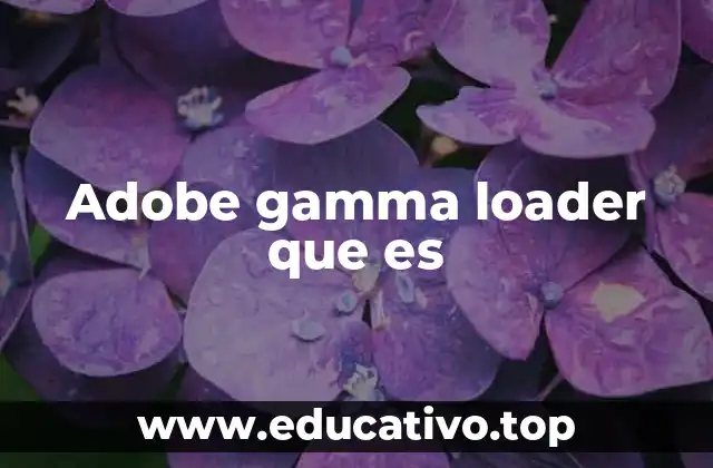 Adobe gamma loader que es