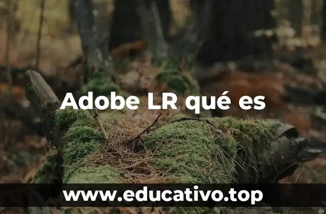 Adobe LR qué es