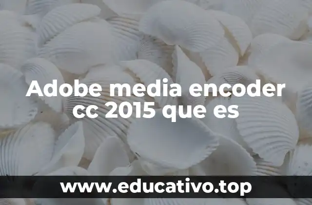 Adobe media encoder cc 2015 que es