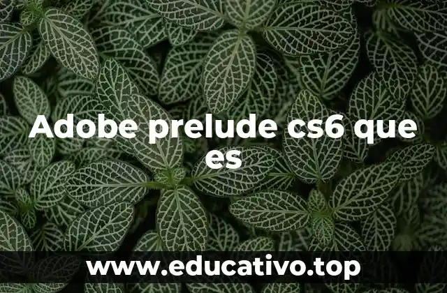 Adobe prelude cs6 que es
