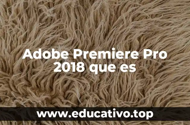 Adobe Premiere Pro 2018 que es