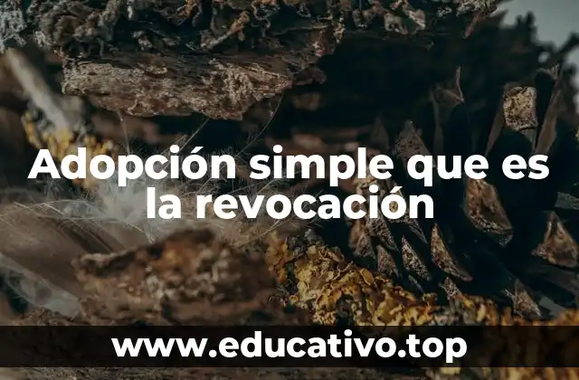 Adopción simple que es la revocación