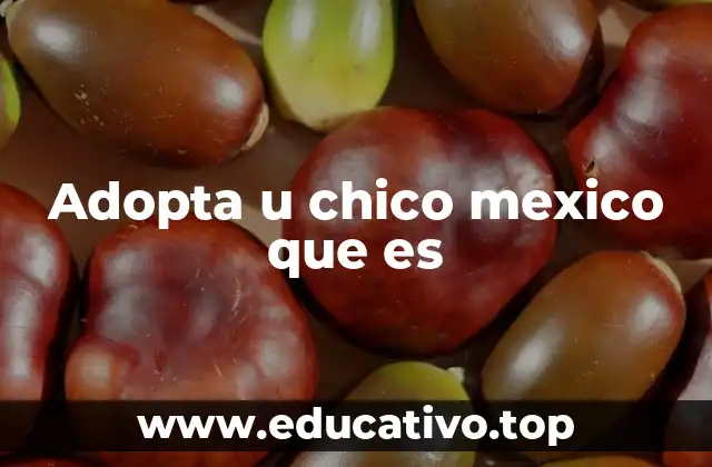 Adopta u chico mexico que es