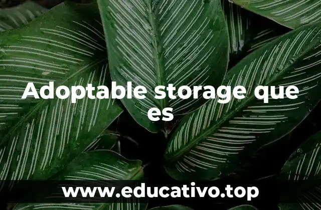 Adoptable storage que es